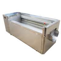 Li-Gong Roller brush ginger peanut washing peeling machine fruits and vegetables cleaning machine